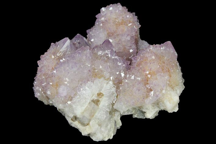 Cactus Quartz (Amethyst) Crystal Cluster - South Africa #132503
